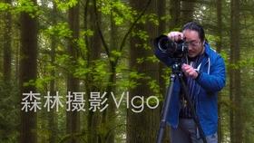“五外联动”助力广东高水平对外开放(经济聚焦)