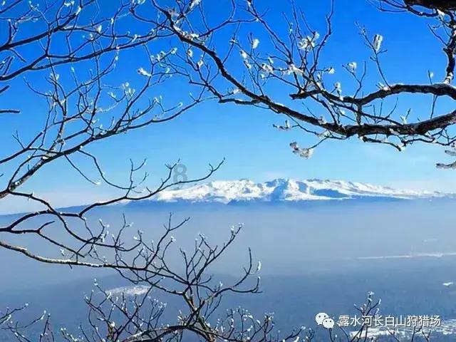 逗小猴开心系列201