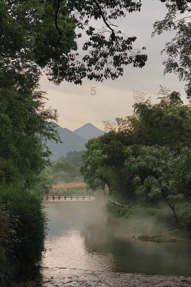 救援可爱的狮子
