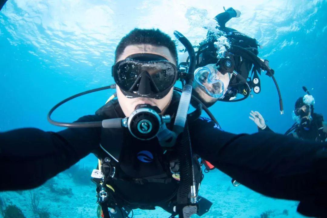 牛油果面包