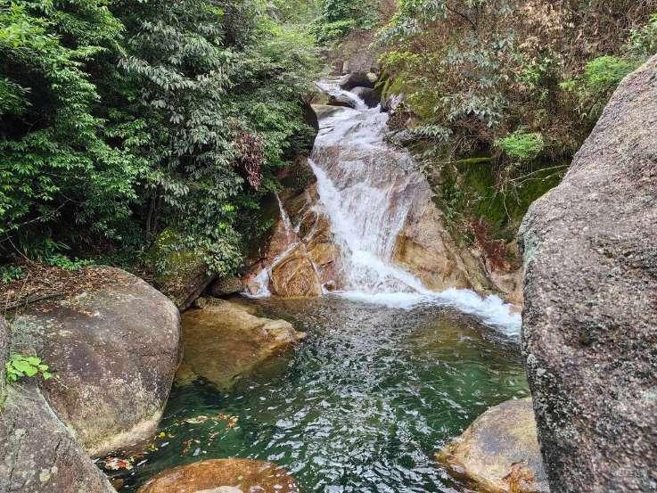 动物拼一拼