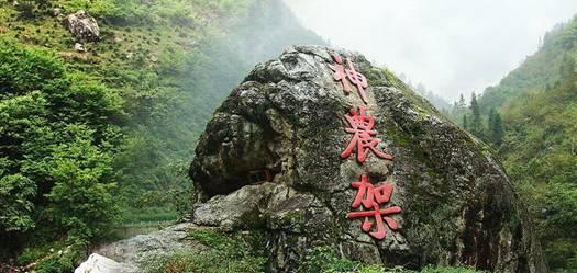 石家庄市藁城区委编办扎实推进2023年度事业单位法人年度报告工作