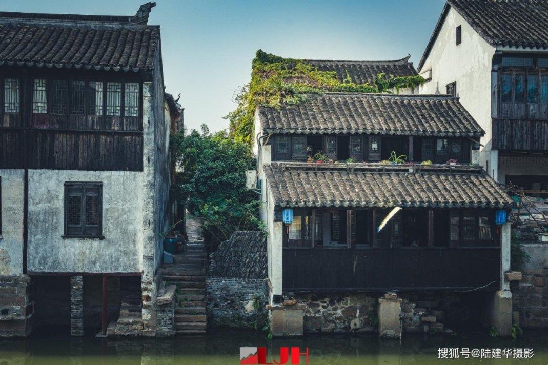 福建：以“文化+科技” 推动灵芝产业高质量发展
